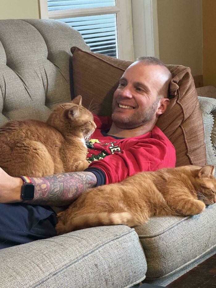 Man relaxing on couch with two orange cats, illustrating behavior of orange cats sharing one communal brain cell.