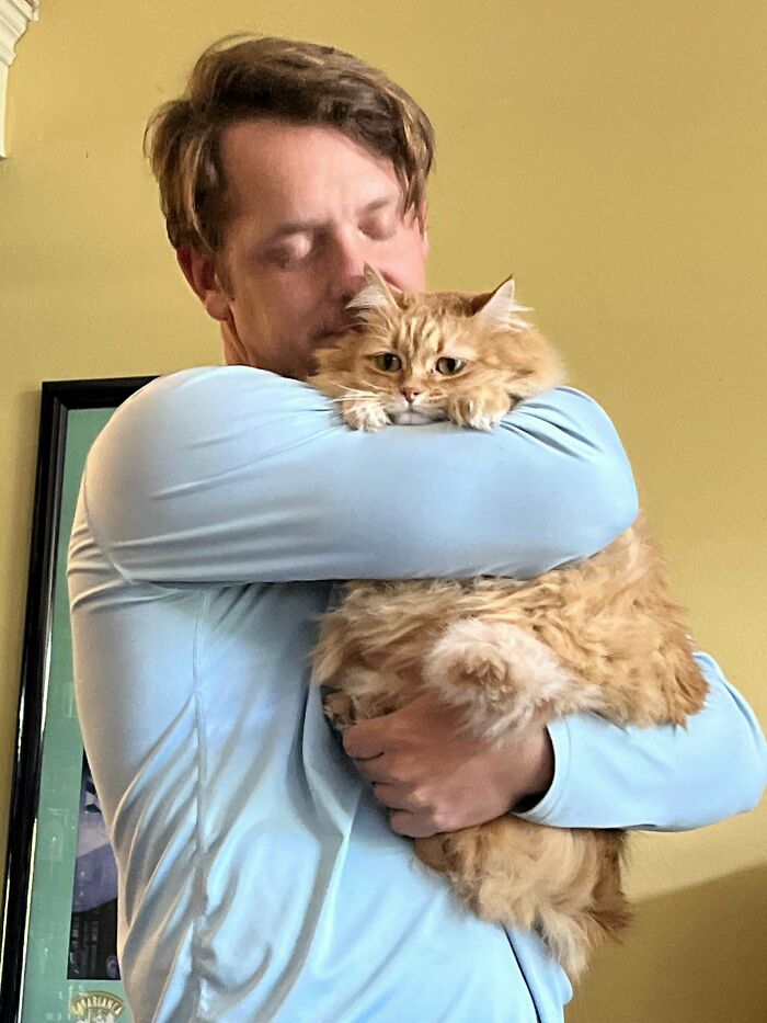 Man in light blue shirt hugging a fluffy orange cat, highlighting the charm of orange cats and their unique connection.