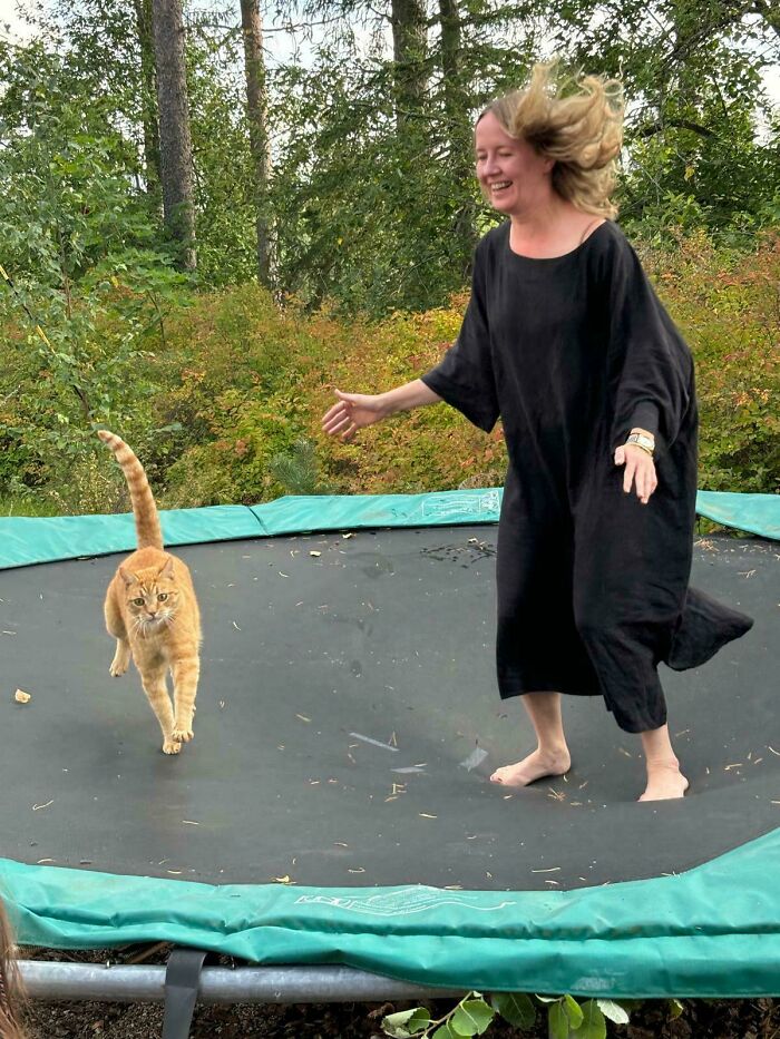 Woman in black dress playing on trampoline with an orange cat, showcasing typical orange cats’ playful behavior and charm.