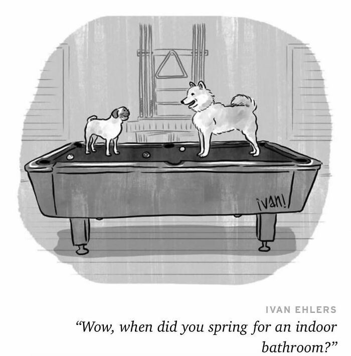 Two dogs standing on a pool table in a hilariously unexpected one-panel comic by Ivan Ehlers.