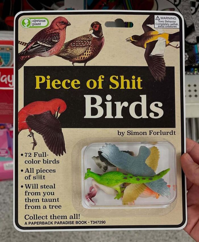 Packaging for a fake product set called Piece of S**t Birds, part of a guy sneaking fake products into real stores.