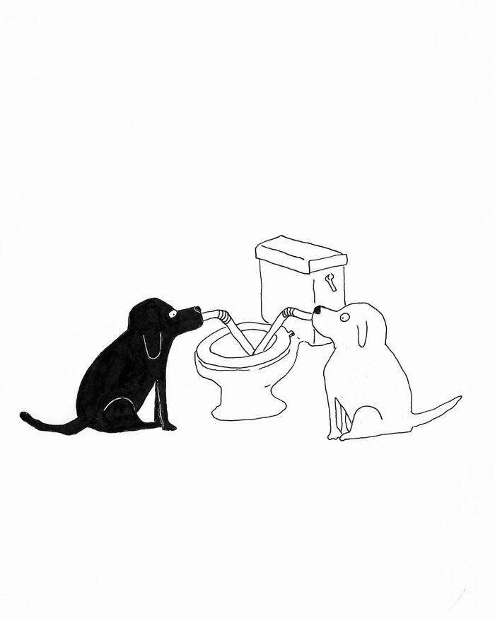 Two dogs drinking from a toilet using straws in a one-panel comic by Tom Reese, a humorous cartoon illustration.
