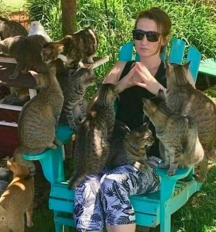 Woman surrounded by multiple cats sitting outdoors in a garden, illustrating random photos you may not know where to begin processing.