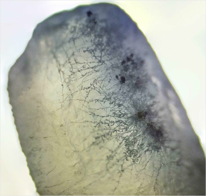 Microscopic image showing intricate patterns and details of a translucent object revealing a different perspective.