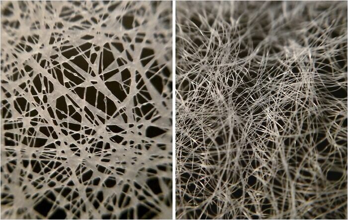 Microscopic images showing intricate web-like and fibrous patterns revealing a unique perspective of everyday materials.