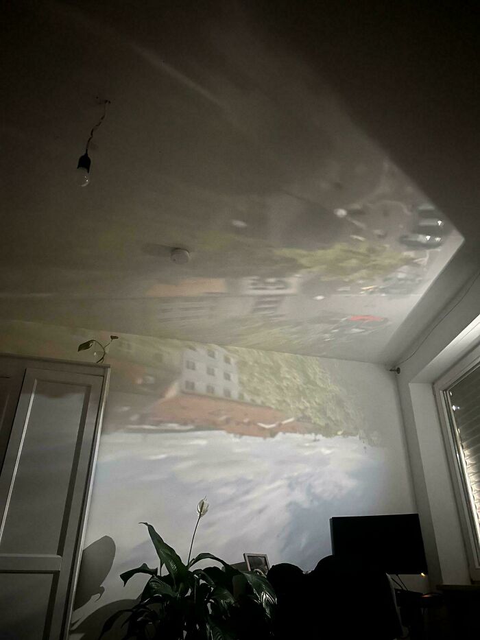 Indoor room with plant and window reflected on ceiling creating unreal photograph effect in low light.
