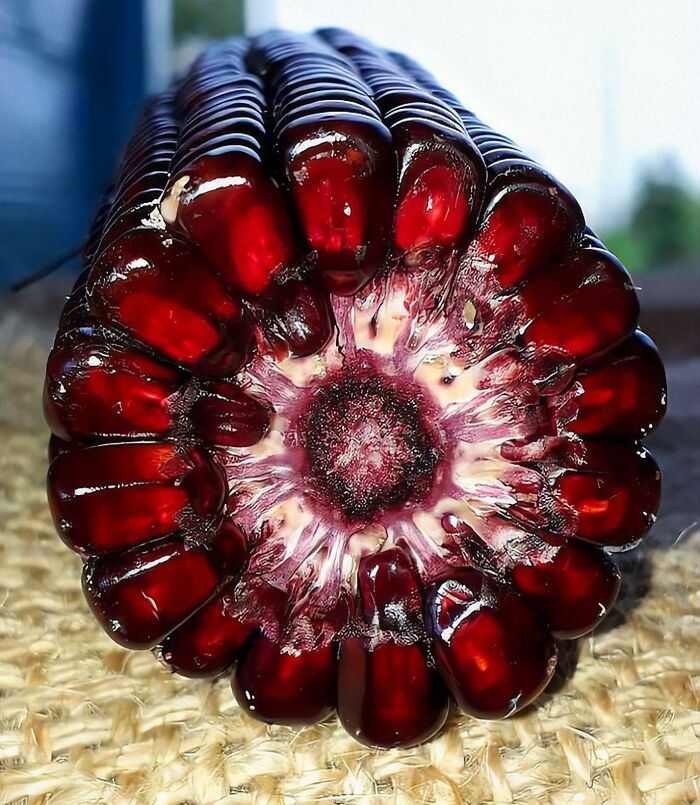 Close-up photo of an unreal photograph showing deep red kernels on a corn cob with glossy texture and intricate details.