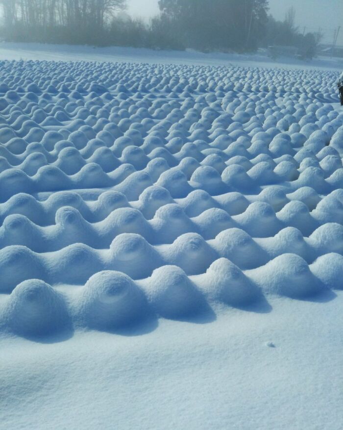 Field covered in snow with unusual rounded shapes creating an unreal photograph showcasing nature's strange formations.