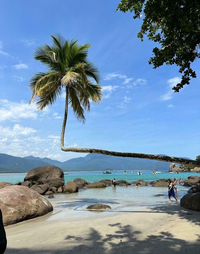 Unreal photograph of a beach with a palm tree bending horizontally over rocks and clear blue water.