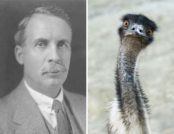 Black and white portrait of a man in a suit alongside a close-up of an emu, representing historical events that don’t get enough attention.