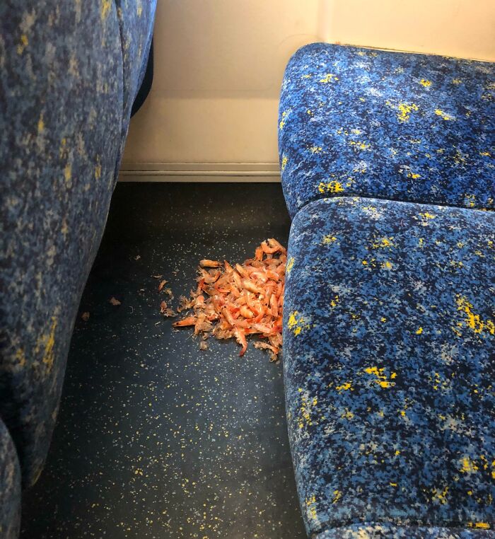 Pile of shrimp shells left on public transport floor between blue patterned seats, showing infuriating passenger behavior.