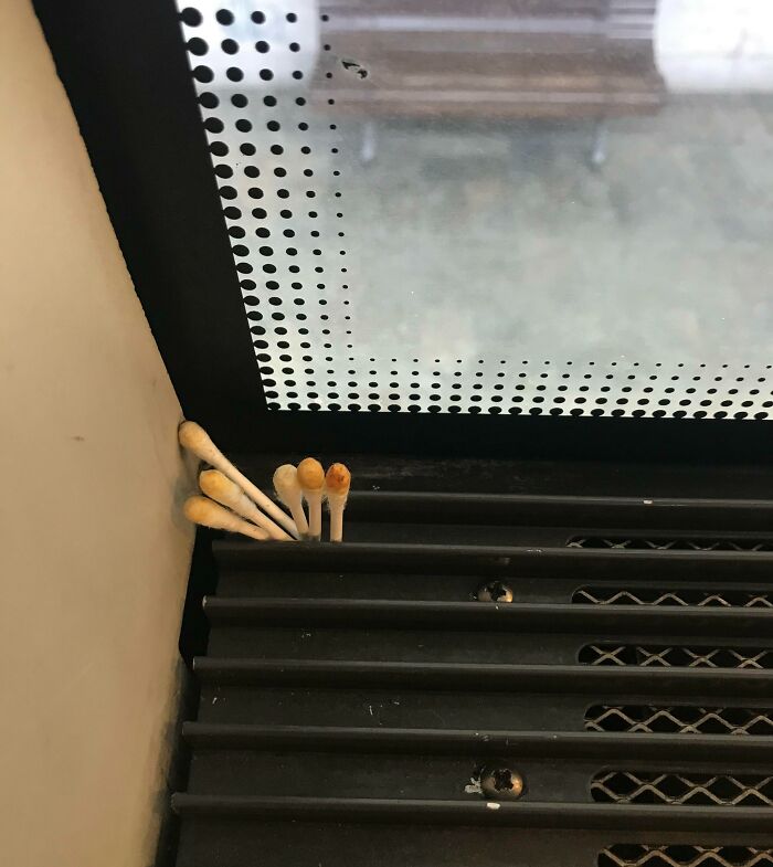 Clusters of used cotton swabs stuck in a corner of a public transport window vent showing infuriating passenger behavior.