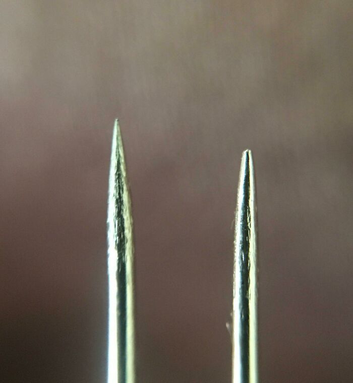 Close-up comparison of two sewing needles showing variety in needle tip shapes and sizes.