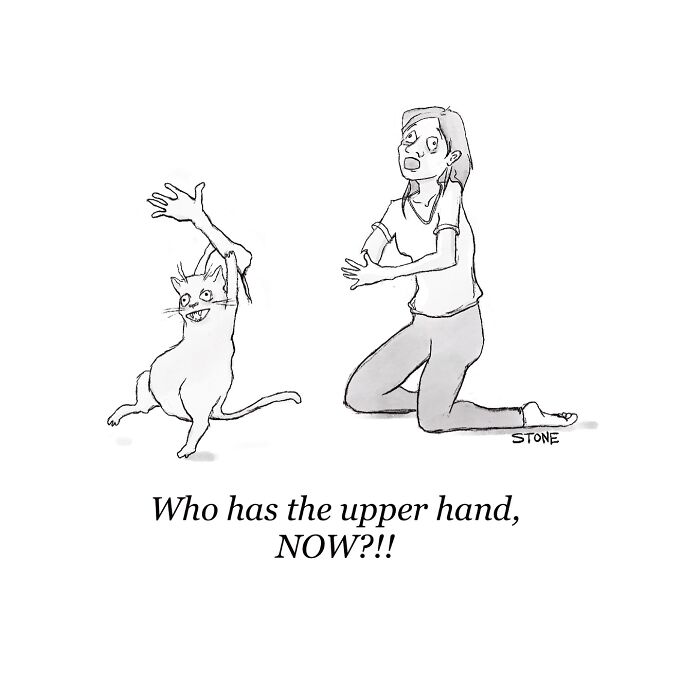 Comic illustration showing a cat with an upper hand over a surprised woman, highlighting everyday hilarious comics by the artist.