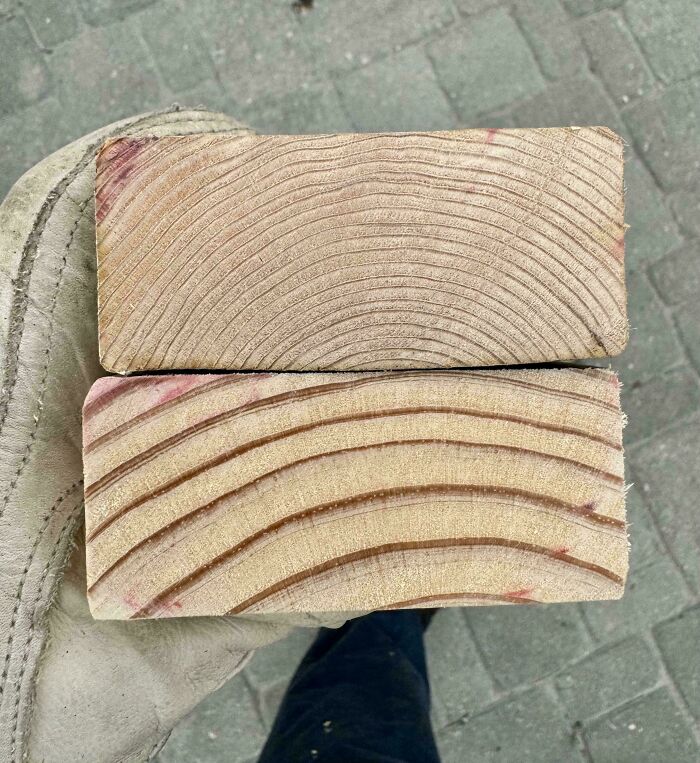 Close-up comparison of two wooden blocks showing different grain patterns demonstrating variety in nature.