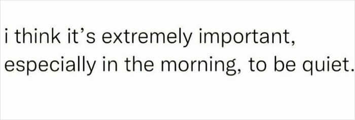 Text meme with sarcastic humor stating it’s important to be quiet in the morning, fitting sarcastic memes for cynics.