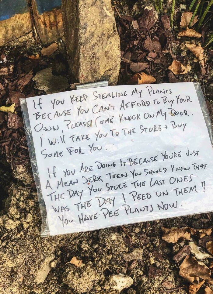 Handwritten note about stolen plants found outdoors, part of historical mementos people randomly found in nature.