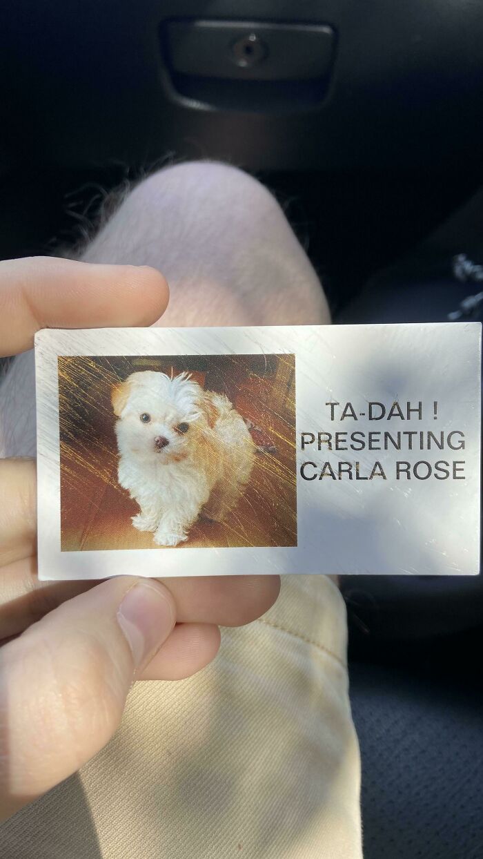 Person holding a worn photo card with a picture of a small dog, an interesting historical memento found randomly.