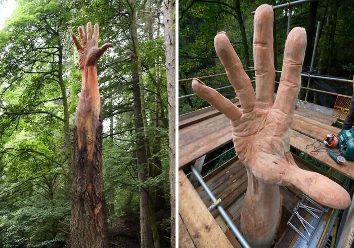 Sculpture of an enormous realistic hand carved from a tree trunk, showcasing one of the most unreal photographs in nature.