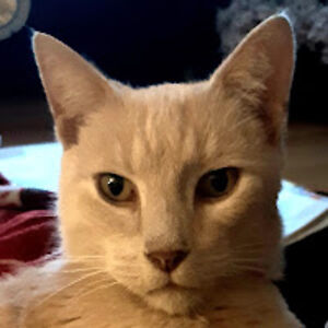 philipleaning avatar