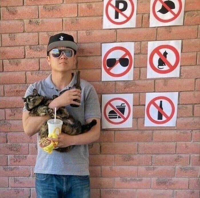 Man holding cat, drink, and bottle stands near brick wall with multiple no signs, illustrating random photos concept.