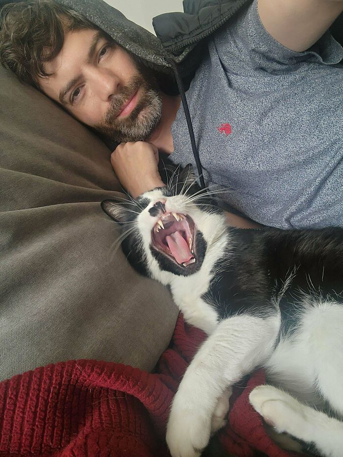 Man lying on couch next to a yawning black and white cat showing a wholesome adoption moment.