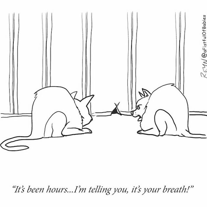 Cartoon of two cats confronting a mouse, depicting everyday life humor in absurdly funny cartoons by ex-Late Show writer.