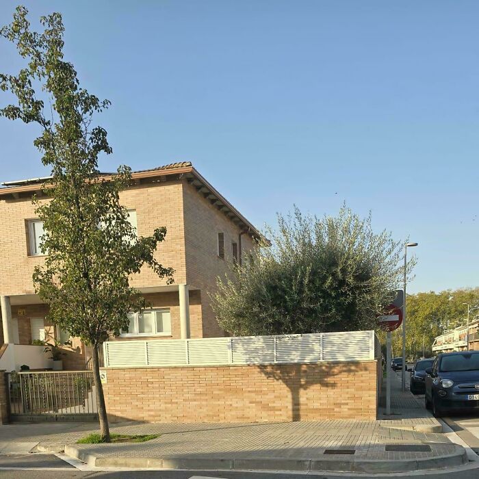 Shadow of a tree cast on a brick wall creating a cool and interesting shadow effect on a sunny street corner.