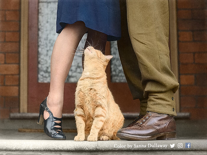 Colorized history pic of a cat nuzzling a woman's leg while standing next to a man on a porch step.
