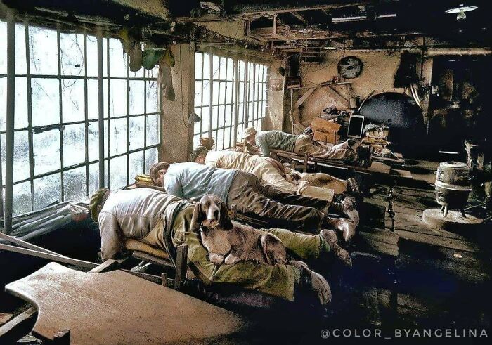 Soldiers resting on beds in a dim room with a dog, an interesting colorized history pics showing wartime life.
