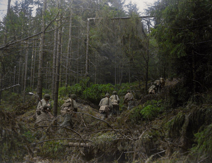 Soldiers moving through a dense forest in a historic wartime scene, an interesting colorized history pic.