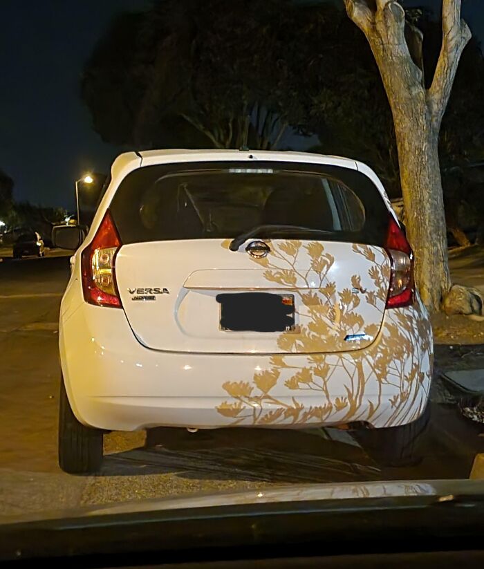 White Nissan Versa with cool, interesting shadow of tree branches creating a natural design on the car at night.