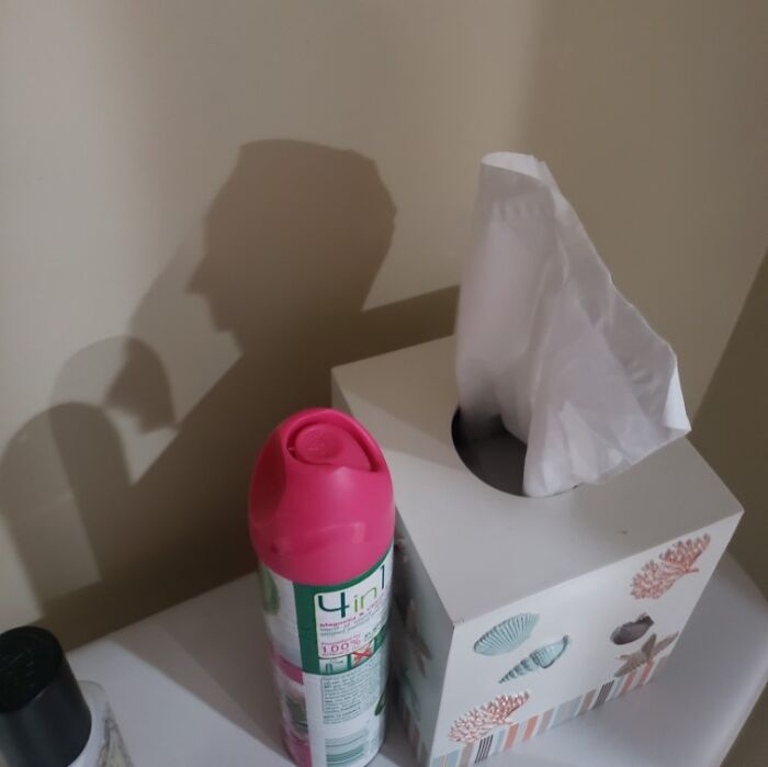 Shadow cast on a wall resembling a man’s profile, showcasing one of the cool and interesting shadows that made people look twice.