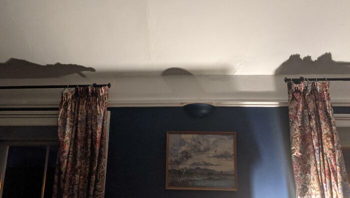 Shadow on a wall resembling a creepy hand reaching out, creating an interesting and bizarre shadow illusion.