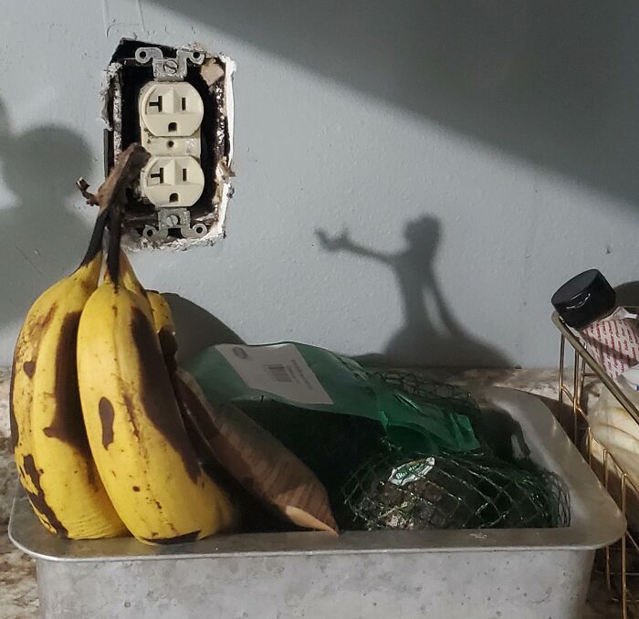 Shadow of bananas and other kitchen items creating a cool and interesting shadow that makes people look twice.