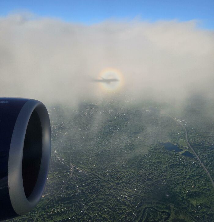 Shadow of an airplane surrounded by a rainbow halo above green landscape, showcasing cool and interesting shadows from the sky.