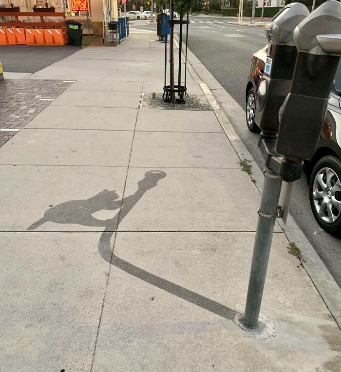Shadow on sidewalk resembling a cat sitting on an extended arm, illustrating cool and interesting shadow illusions.