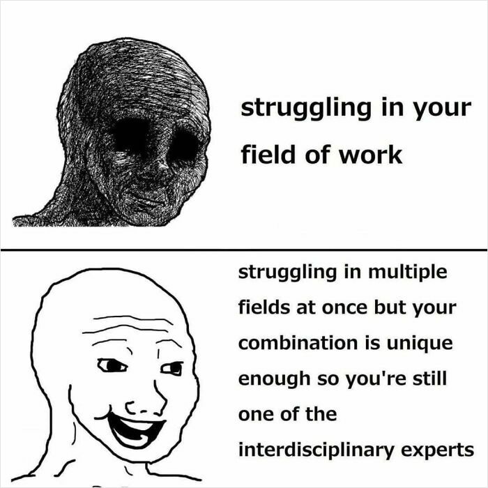 Two-panel meme contrasting a sad face struggling in one field and a happy face as an interdisciplinary expert meme for intellectuals.