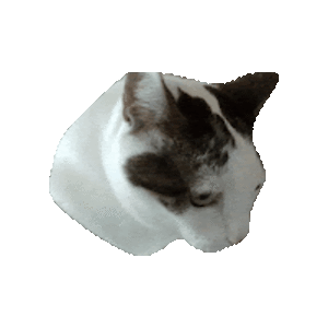 nayshaburrito avatar