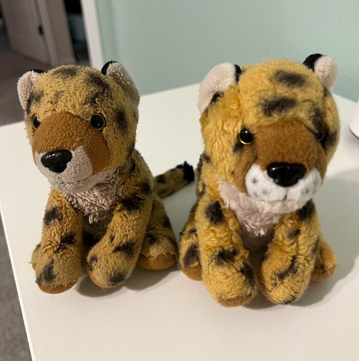 Two plush leopard toys side by side showing fascinating comparison pics of variety in design and texture.