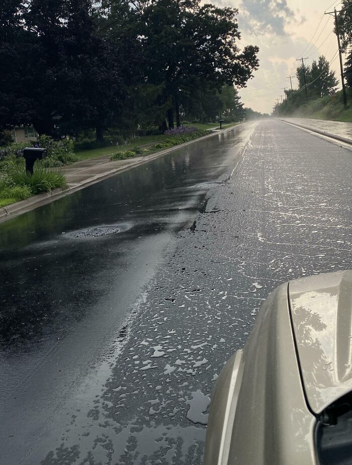 Wet street after rain showing comparison of wet and dry pavement under cloudy sky with trees along road.