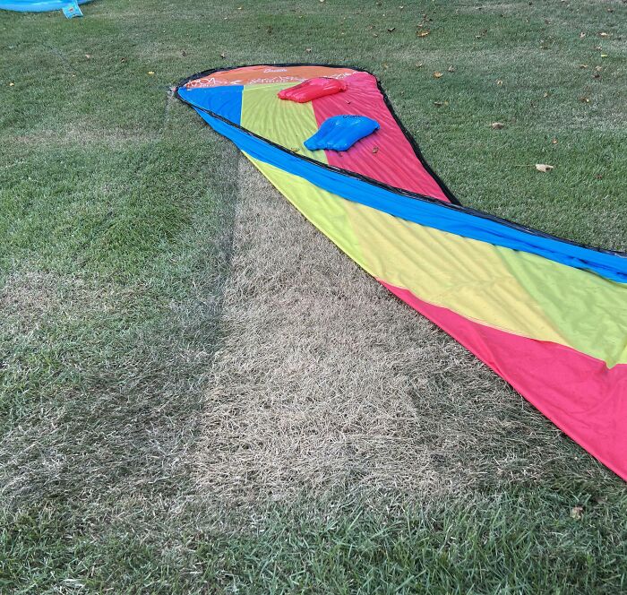 Comparison pic showing variety of grass colors under vibrant colorful fabric on lawn outdoors