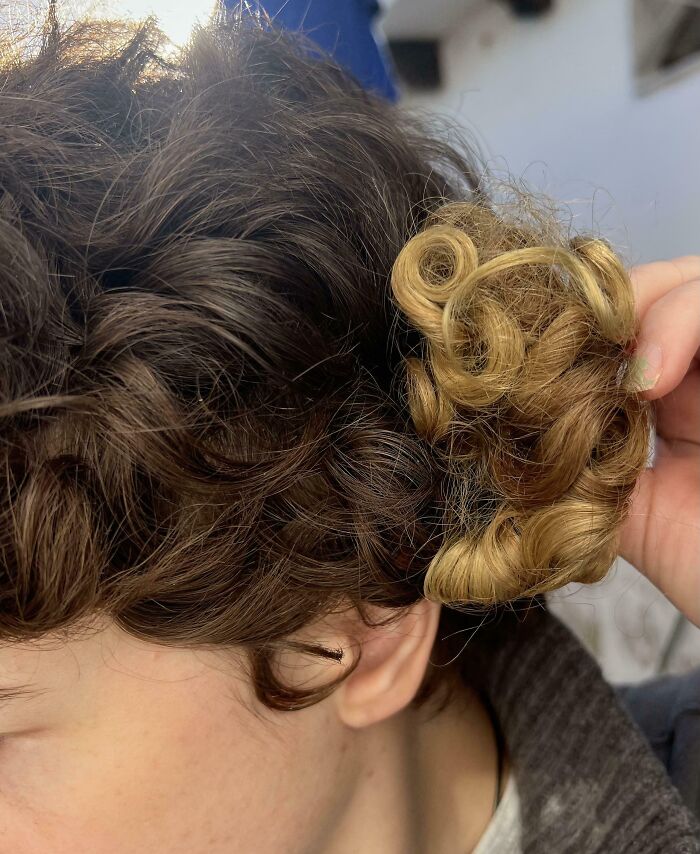 Close-up of a person showing a fascinating comparison of two different hair colors and curl textures.