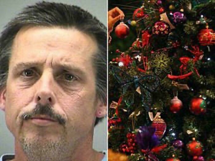 Split image showing a middle-aged man with facial hair on the left and a decorated Christmas tree on the right representing fascinating content.