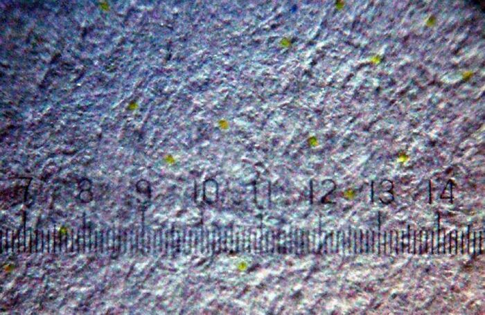 Close-up of a scale showing numbers 8 to 14 under magnification, illustrating fascinating internet content facts.