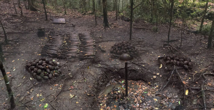 Unusual arrangement of objects and natural elements captured in a forest scene showcasing shenanigans on Google Maps.