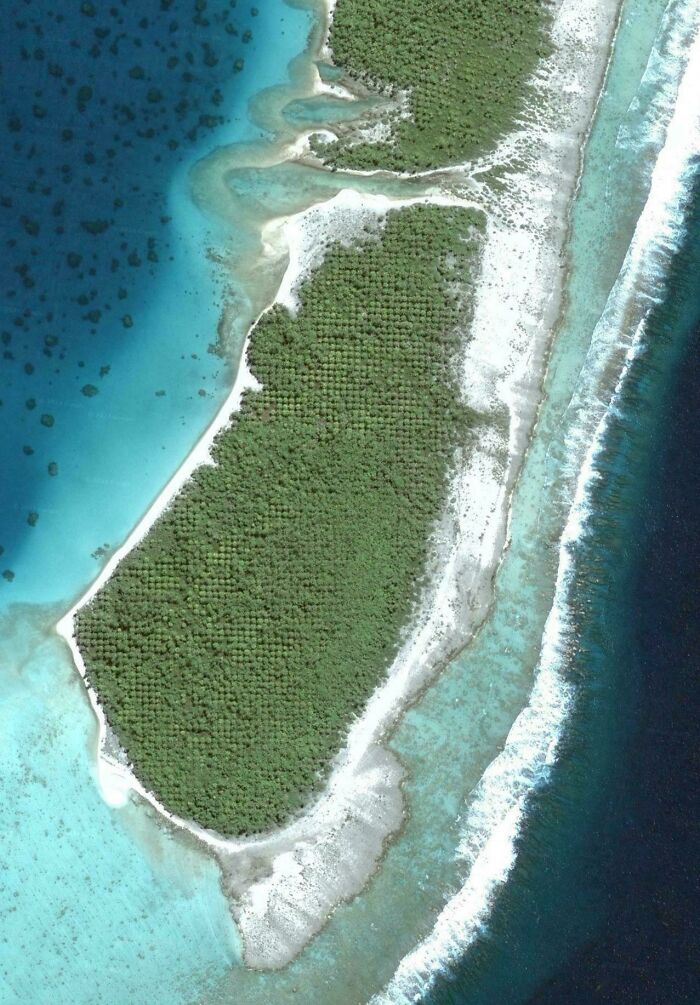 Aerial view of an island with dense green trees surrounded by clear blue ocean waters captured on Google Maps.