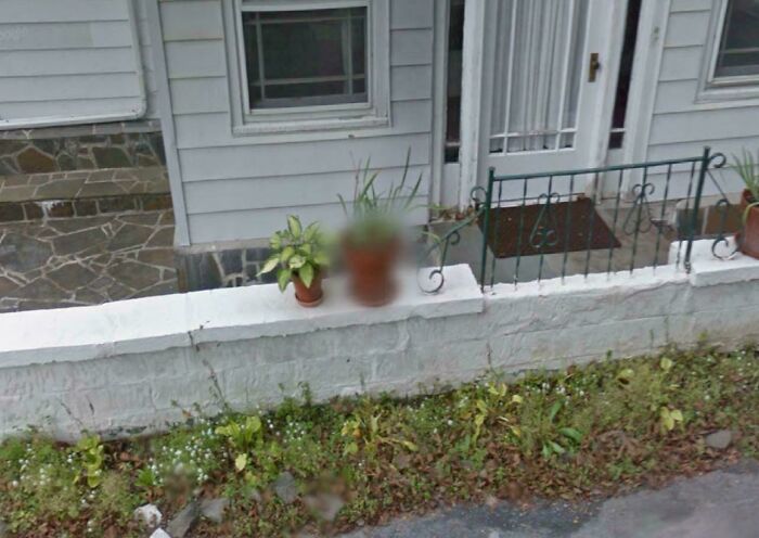 Two potted plants on a white garden wall in front of a house captured in a Google Maps street view image.