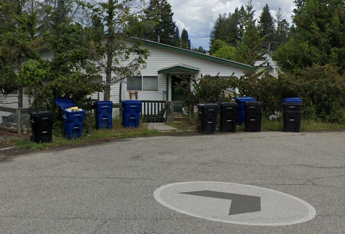 A row of trash and recycling bins lined up on a street corner captured in a Google Maps shenanigans image.