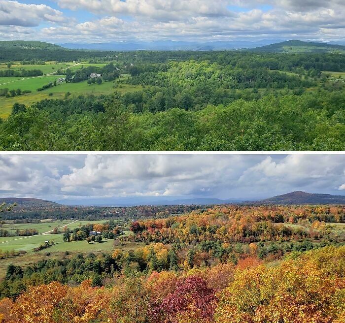 Comparison pics showing the variety of lush green versus colorful autumn foliage in a scenic rural landscape under cloudy skies